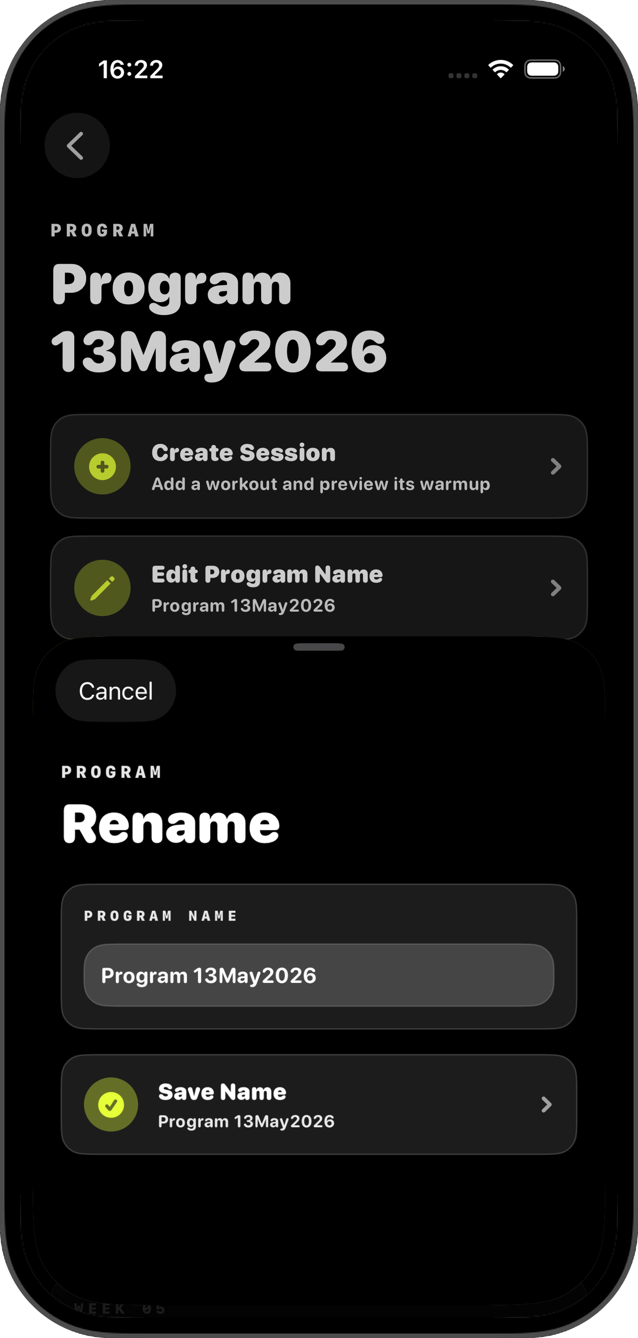 Rename program sheet with program name input and Save Name button