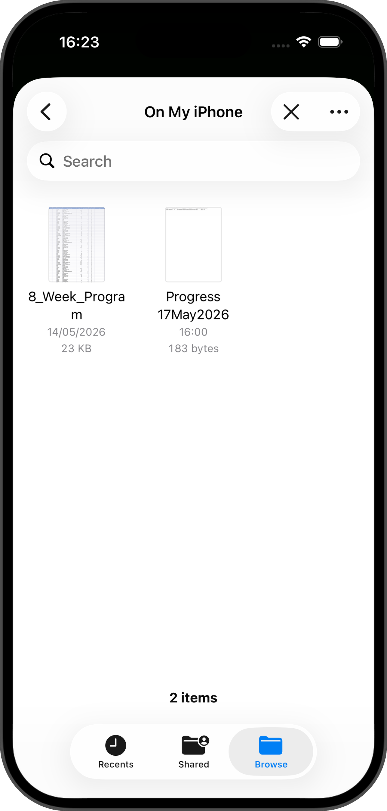iOS Files picker showing program spreadsheet files on the device